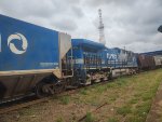 RUMO 8324